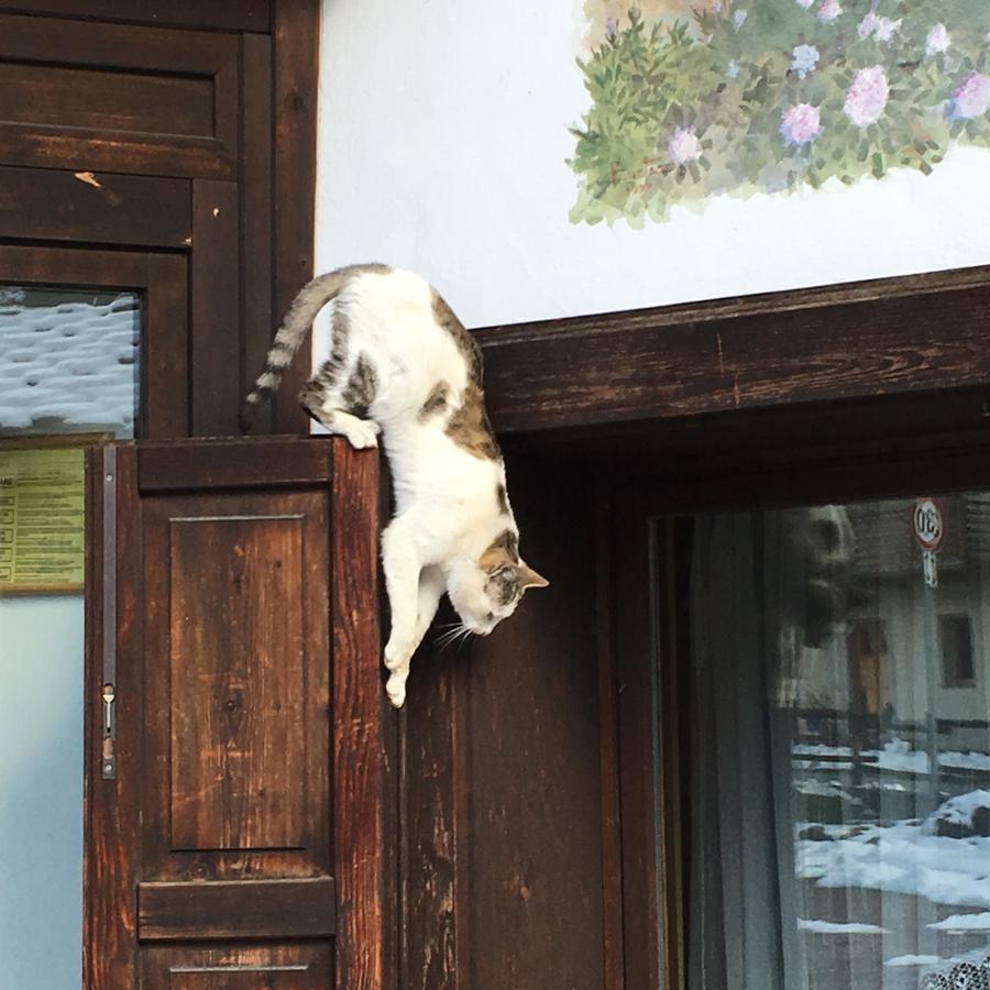 Hotel Gran Baita Gressoney-Saint-Jean Exterior foto